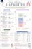 professional study notes, mind maps and revision guides