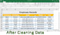 do excel data cleaning and formatting