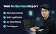 be your golang developer for backend, apis and bug fixing