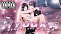 do professional amv editing and advanced manga anima