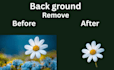 cutout your background photo