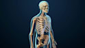 create professional 3d spine surgery orthopedic and medical animation