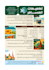 ngo infographics, branding, and campaign visuals that tell your story