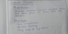 provide beautiful handwritten notes