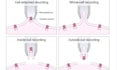design professional scientific diagrams and illustrations