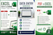 professional excel data cleaning and data entry