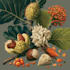 do a botanical illustration