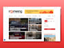 develop a professional wordpress presentation website