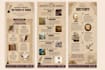 create eye catching flyer and brochure design