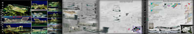 designing specialized architectural projects