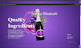 develop a high performance interactive 3d website or custom saas