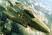 drawing sci fi spaceship design
