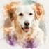 draw watercolor pet portrait