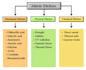 create educational flowcharts and scientific illustrations
