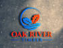 custom business logo design with copyrights