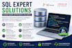 write sql queries, reports, and database analysis