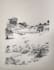 draw a custom landscape and nature illustration