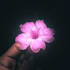 edit photos for you