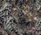 noir luxe fusion textile