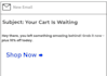 write professional emails and copywriting for your business