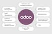 develop custom odoo modules and API integration