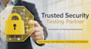 perfrom penetration testing and vulnerability assesment