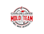 design eye catching mold logo