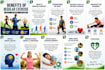 write professional SEO articles, blogs, and website content