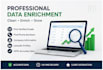 do professional data enrichment in excel