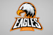 create high quality eagle mascot logo with t shirt design