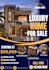 design professional canva flyers and posters