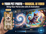 turn your pets photo into a magical animated video