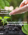 design social media posts in canva
