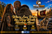 edit your romance book
