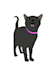 draw your pet with partially paralyzed hands