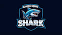 make an amazing shark logo with unlimited revision
