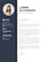 write professional resume, executive resume professional CV rewrite