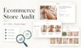 audit your shopify or ecommerce store for conversions
