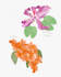 custom illustrate a flower, plant, or tree