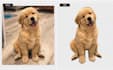 professionally edit photos using picsart
