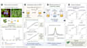 design scientific figures and graphical abstracts