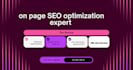 expert on page SEO and high quality content optimization