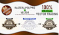 do vector tracing and convert image to vector,logo vectorize