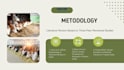 design canva and powerpoint slides