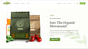 build secure rest API with nodejs express and mongodb