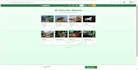 build a stylish and responsive web
