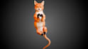 create 3d pet model dog cat animal character model with rigging and animation