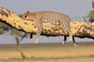 create a custom tanzania safari itinerary