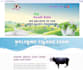 do web, application, database, content wring and saas