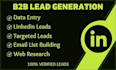 provide b2b leads with accurate data entry services
